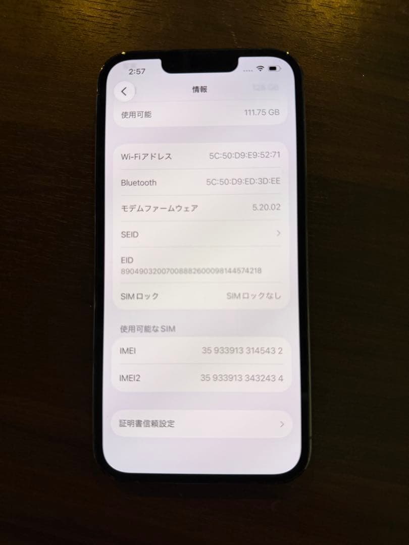 Apple iPhone 13 Pro シエラブルーApple care加入済み