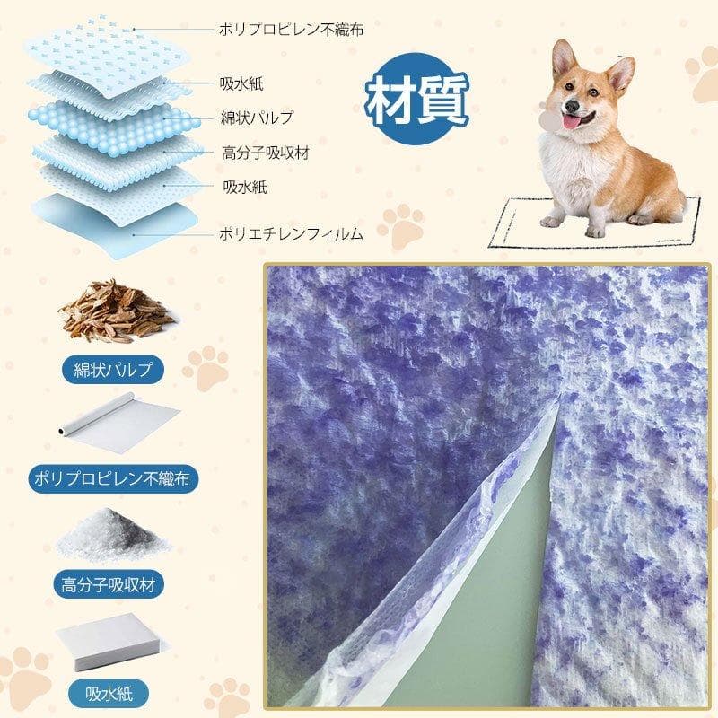 しーあーずー