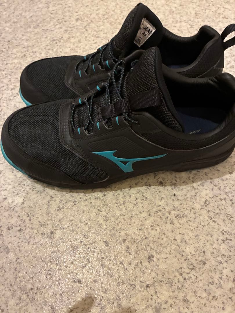 Mizuno 安全靴 ブラック/ターコイズ　25cm
