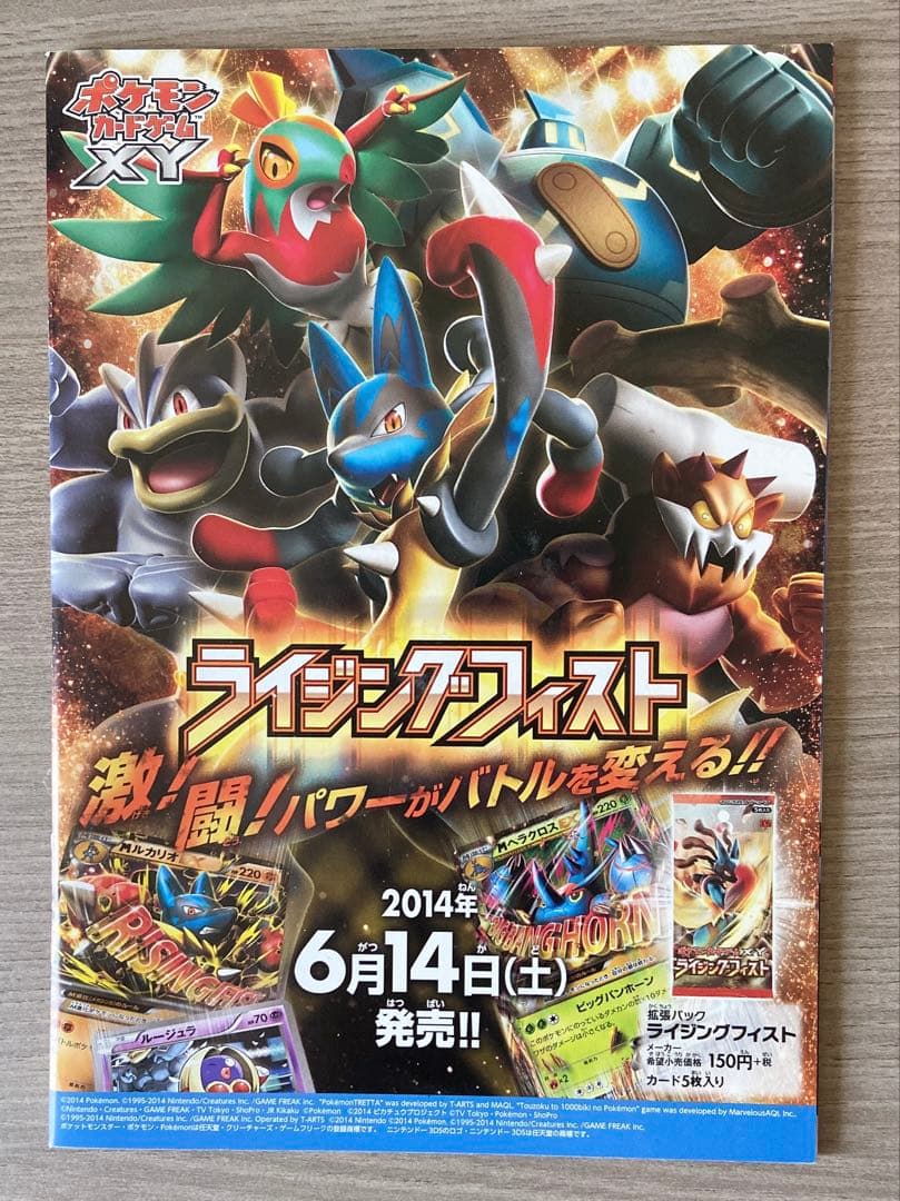 ポケカ 日本代表のピカチュウ ポケモンNewモン！ブック付き