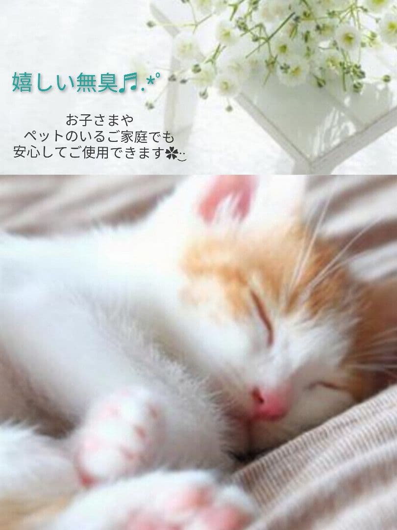 たぁ✩.*˚ フルール20 本、コーティング剤つき✩.*˚