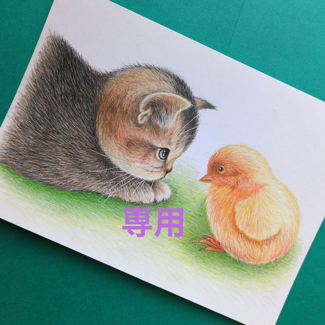 りんママです♪ 色鉛筆画 A5サイズ 子 猫&ヒヨコ ３枚