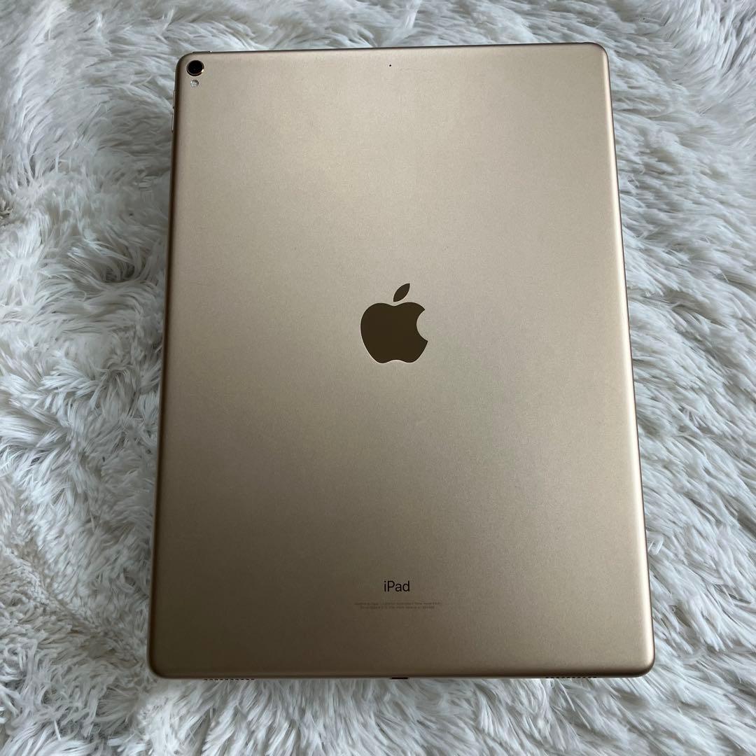 【早い者勝ち】iPad Pro 12.9 256GB 【すぐ発送】【付属品】