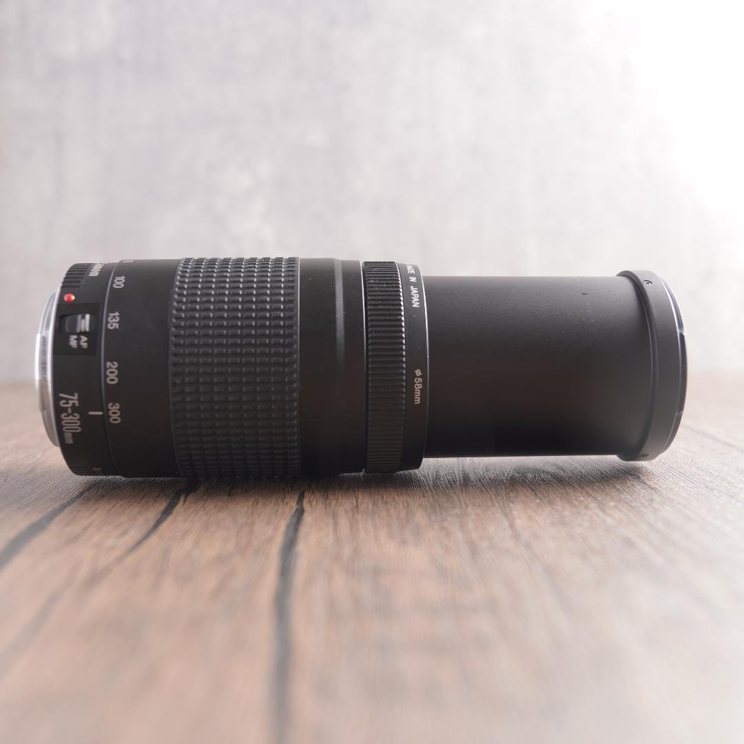 ✨美品✨超望遠✨イベントに✨Canon EF 75-300mm II　323
