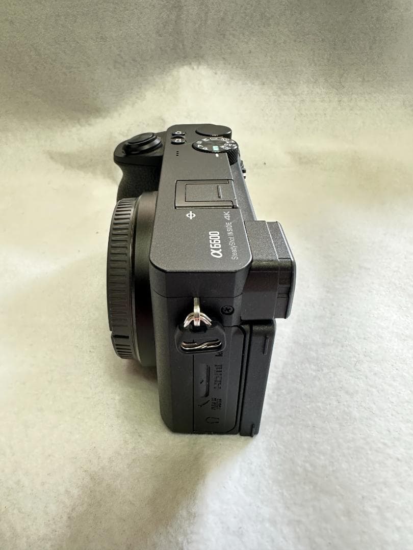 SONY α6600 ボディ 本体（購入時付属品＋おまけ付き）