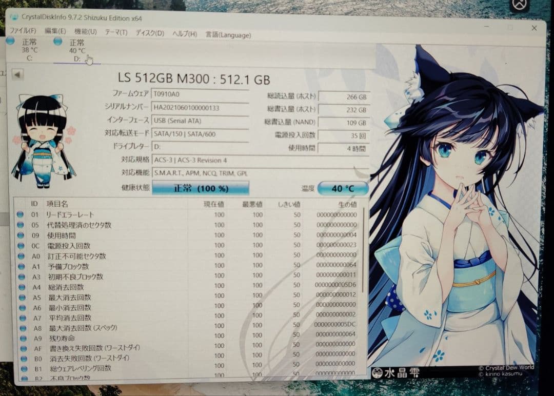 M.2 SSD SATA 512GB 2280 2242対応 NGFF