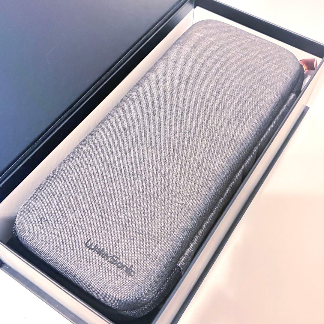 Water sonic ウォーターソニック 音波歯ブラシ 本体 ハードケース