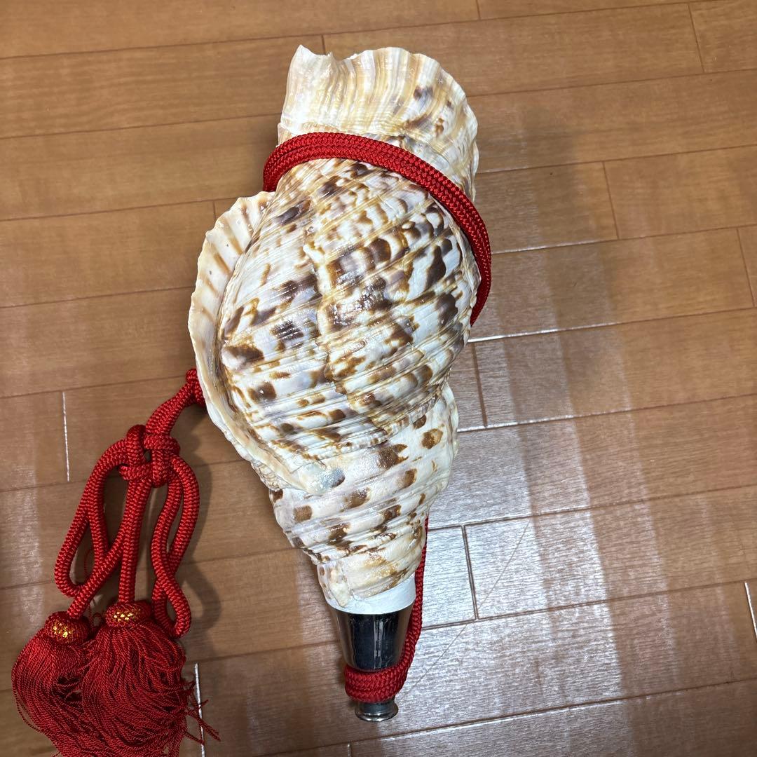 法螺貝38センチ紐付き
