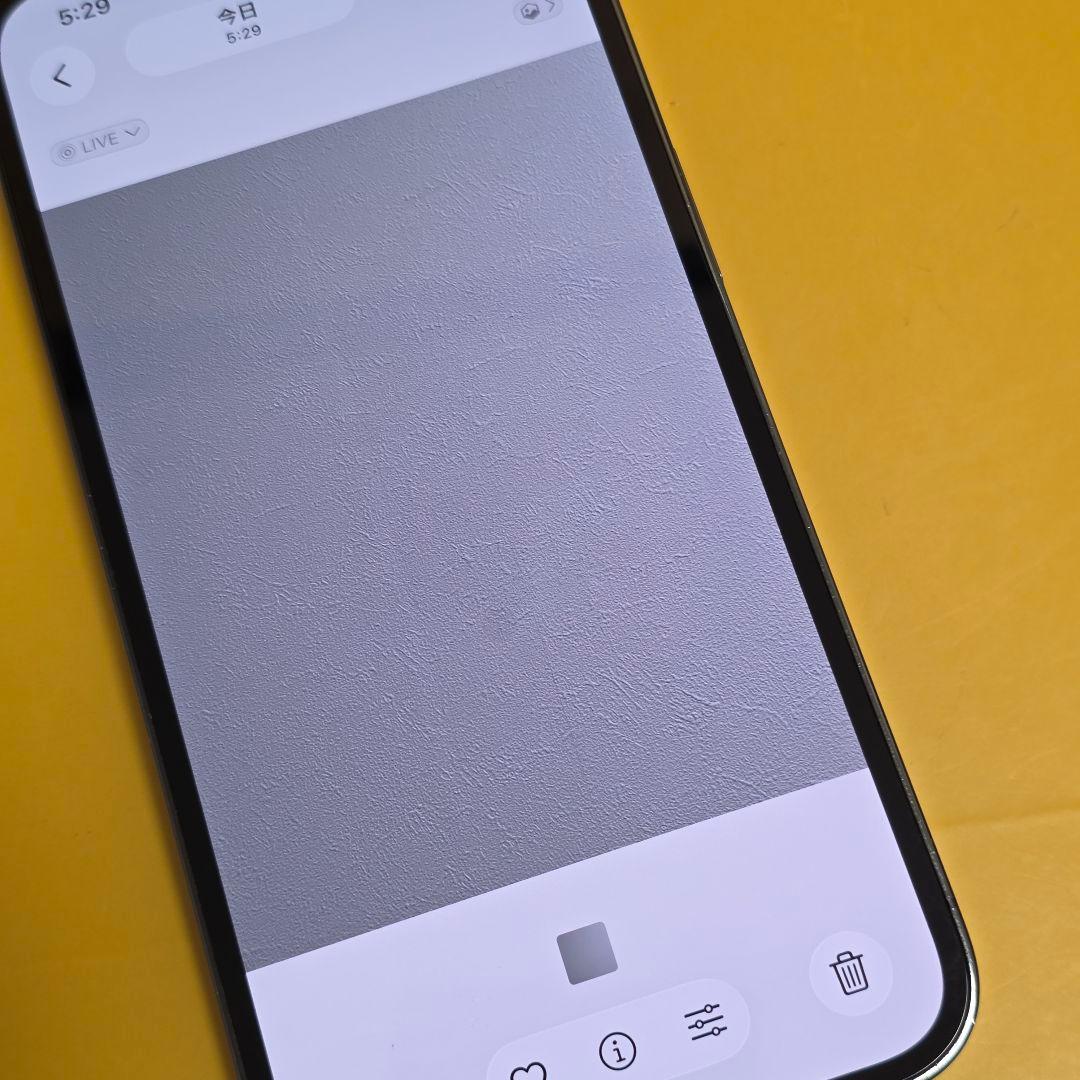 iPhone 13 Pro 256GB バテリ100％｜24時間以内発送#818