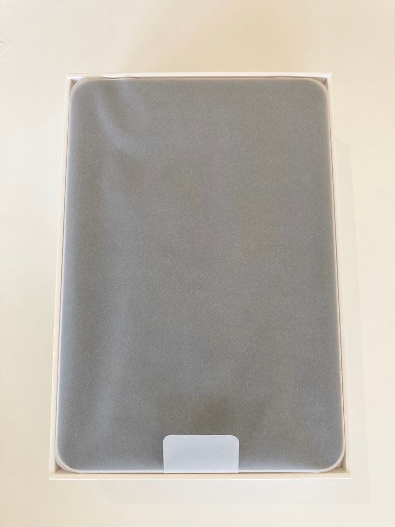 【魚肉武装】Apple iPad mini 6 64GB Wi-Fi