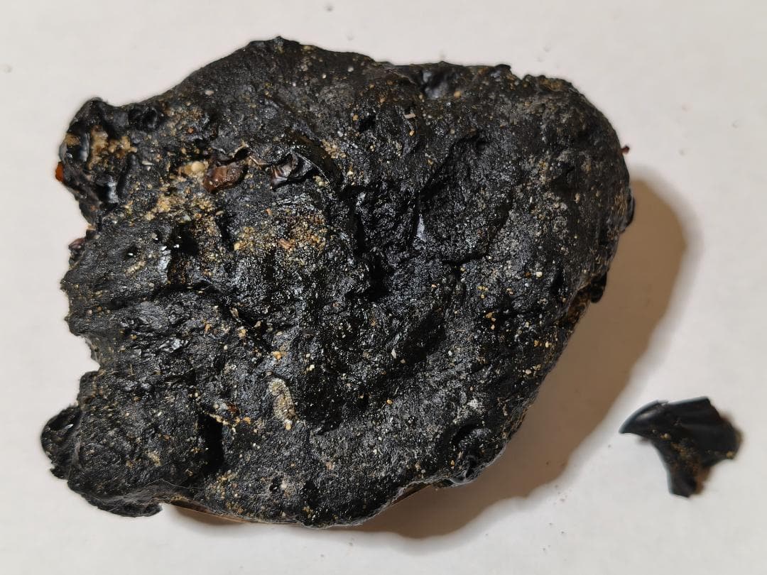 龍涎香 AMBERGRIS 1g 低品質 徳之島にて取得