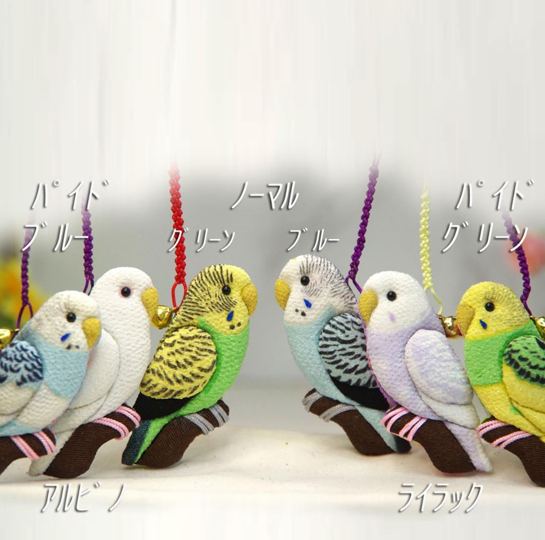 セキセイインコ　ノーマル・オパーリン　マメルリハ