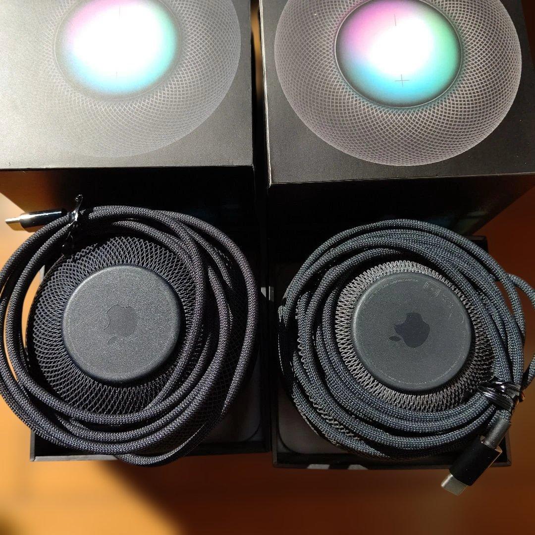 Apple Pod mini ブラック 2個セット