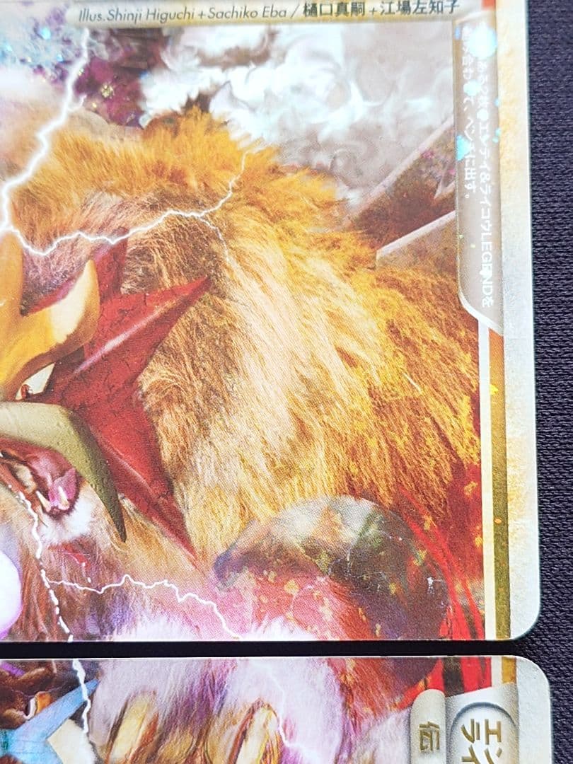 エンテイ＆ライコウ　LEGEND　エンテイ＆ライコウLEGEND
