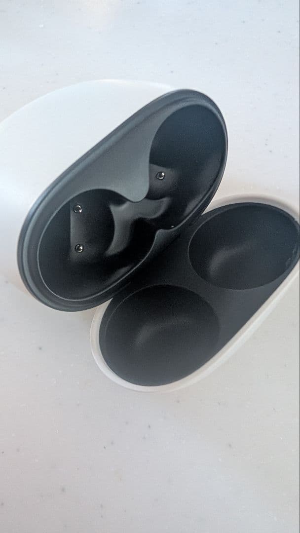 Google Pixel Buds Pro2　ケースのみ