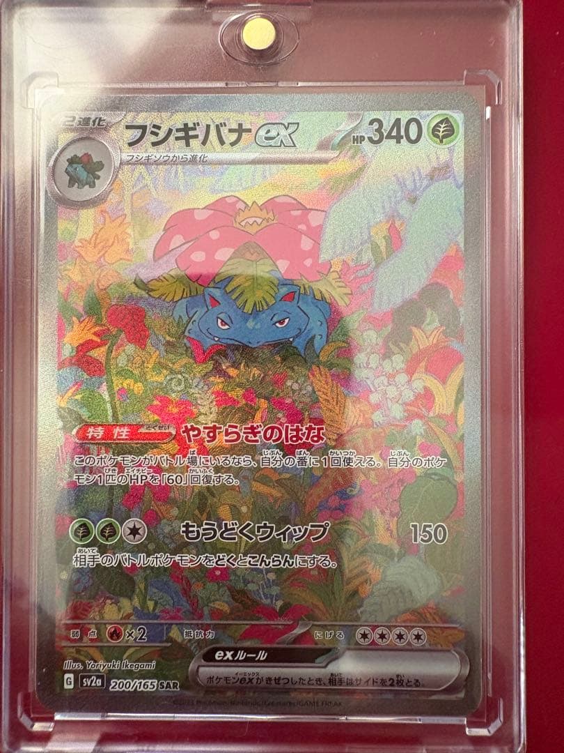 ポケモンカード　151御三家セットsar