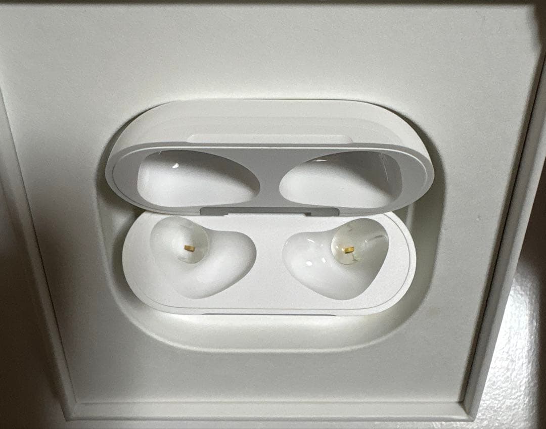も*む様 Apple AirPods 第3世代 ケース付き