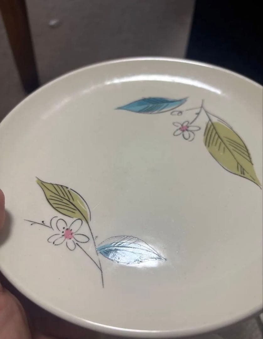 アンティーク食器1959年 ミッドセンチュリー Salem社セット
