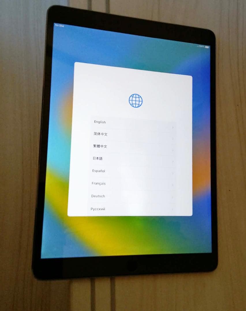 【美品】ipad Pro 10.5インチ　512GB　wifi＋cellular