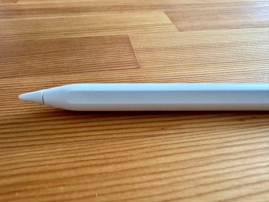 た*ん様 Apple Pencil 第2世代 A2051 純正チップ付き
