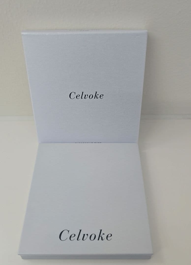 美品⭐︎Celvoke エクスプレッシヴ アイズ　EX04
