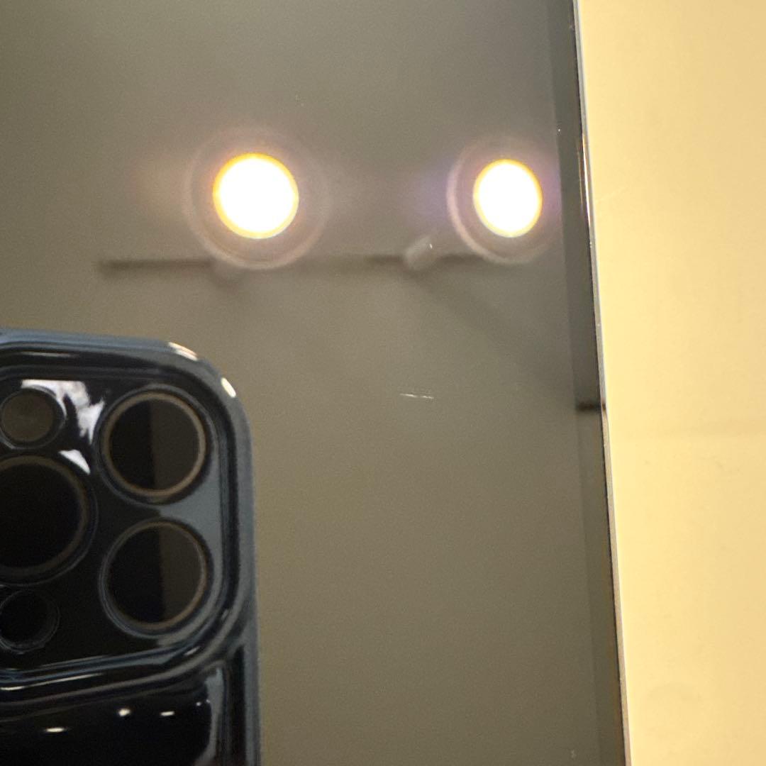 【ジャンク】iPhone13promax 1TB