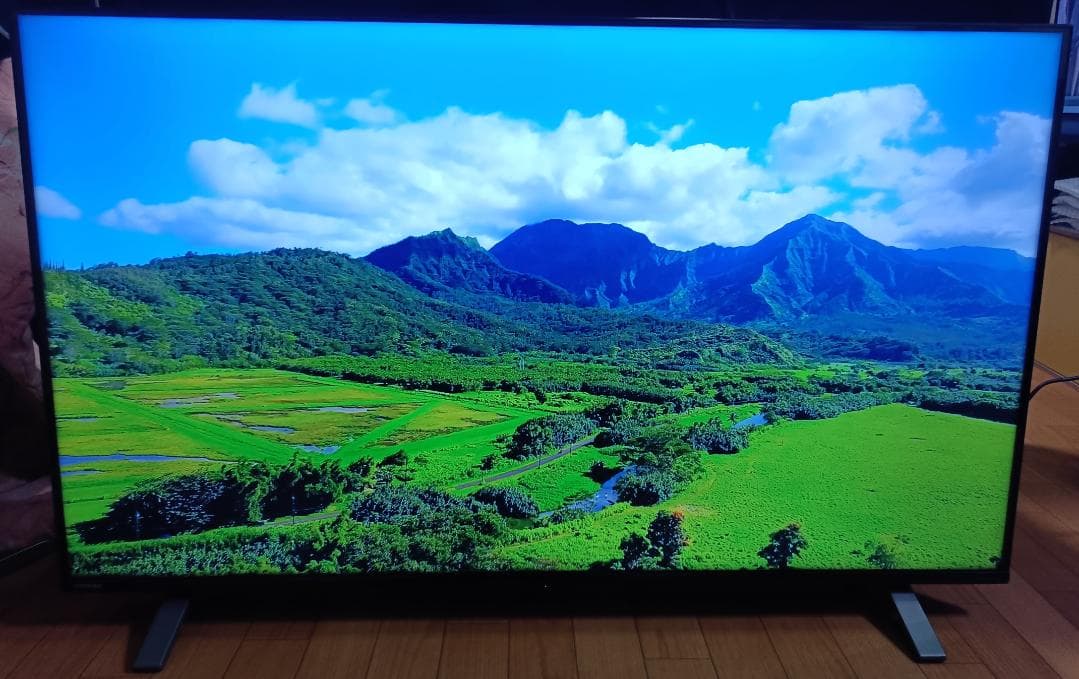 21年製 東芝REGZA 50V型 50C350X 4Kテレビ