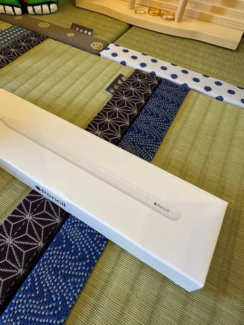 Apple Pencil (第2世代) 専用ケース付き　タイプC