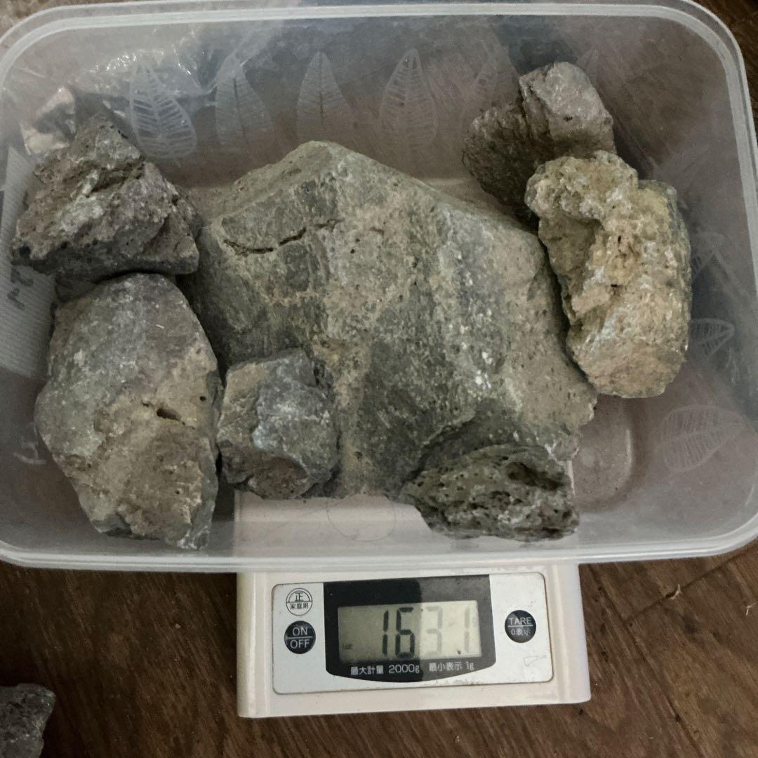 アクアデザインアマノ　ADA 万天石　希少　約12.5kg