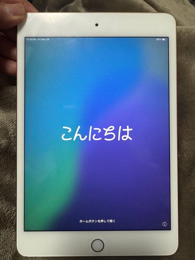 iPad mini 5 セルラーモデル simフリー