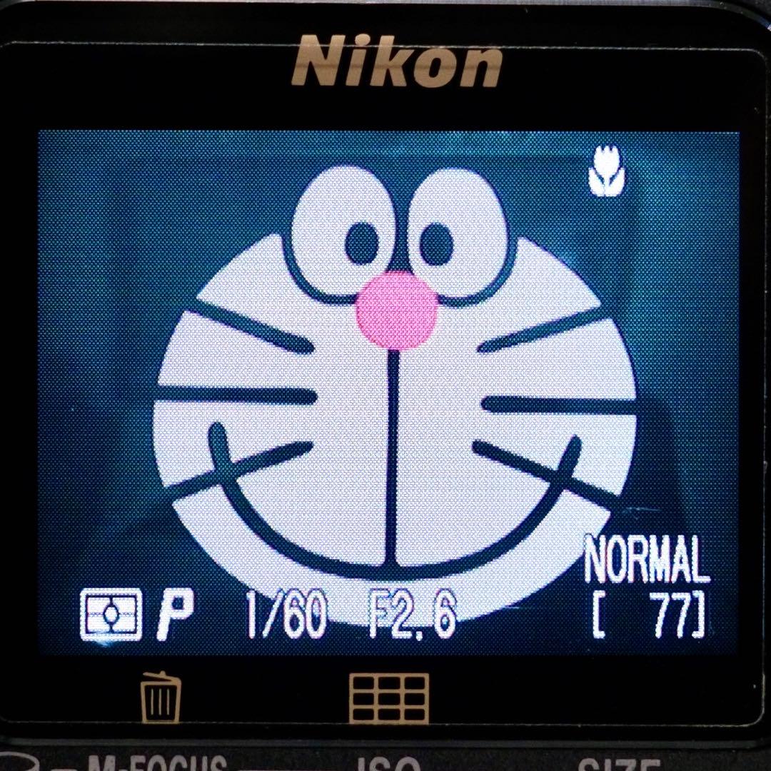 動作品 平成レトロ Y2K CCD 自撮り Nikon COOLPIX E990