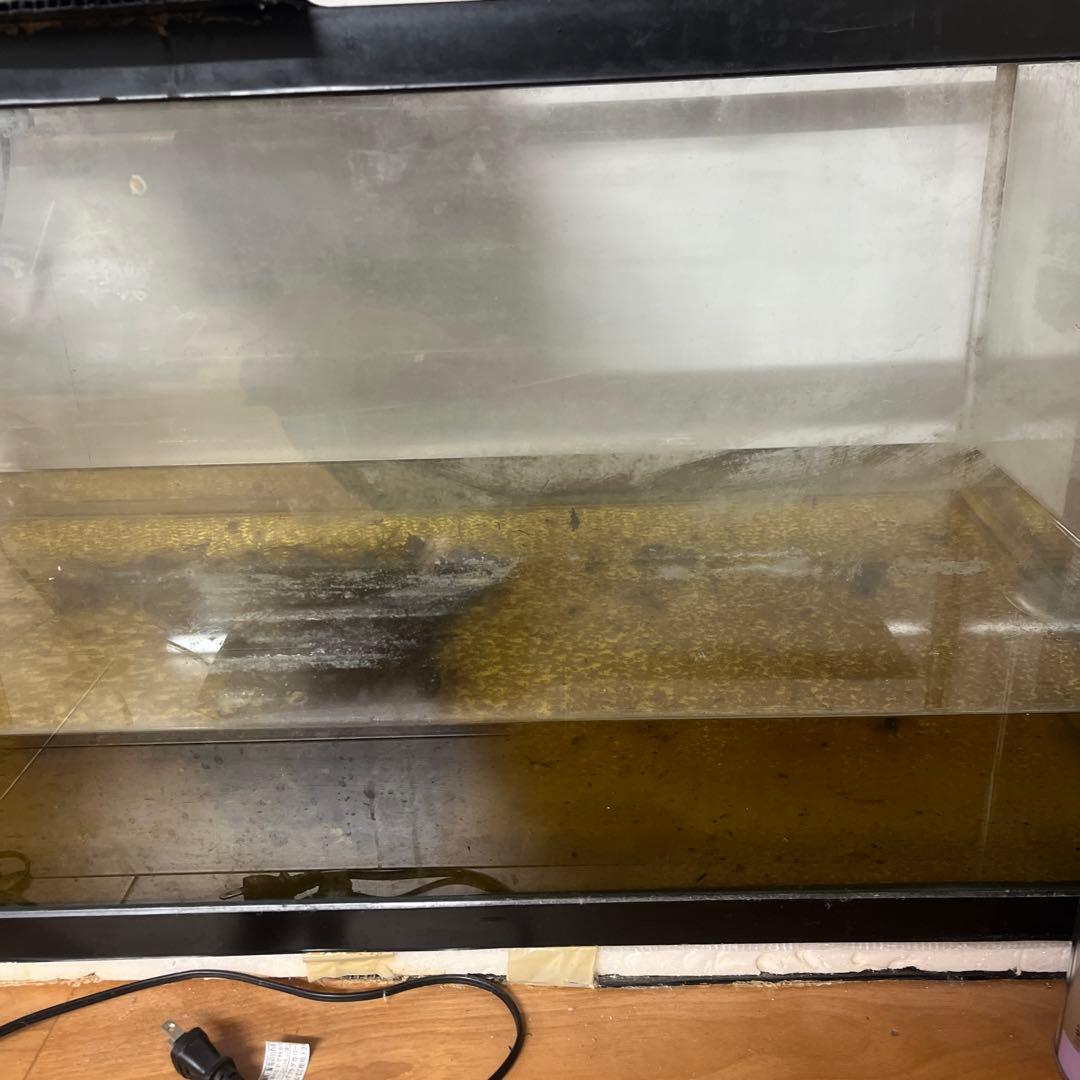 90センチ水槽