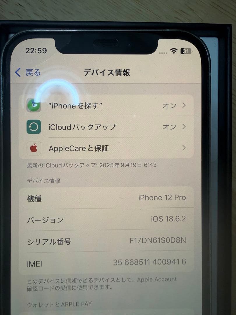 Apple iPhone 12 シルバー　256gb 本体 充電ケーブル付き