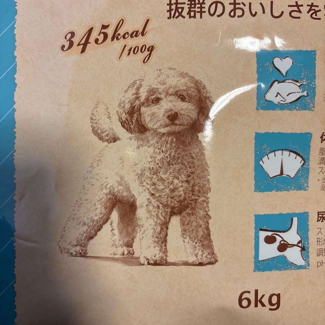 Nutro ナチュラルチョイス 成犬用 6kg 6キログラム