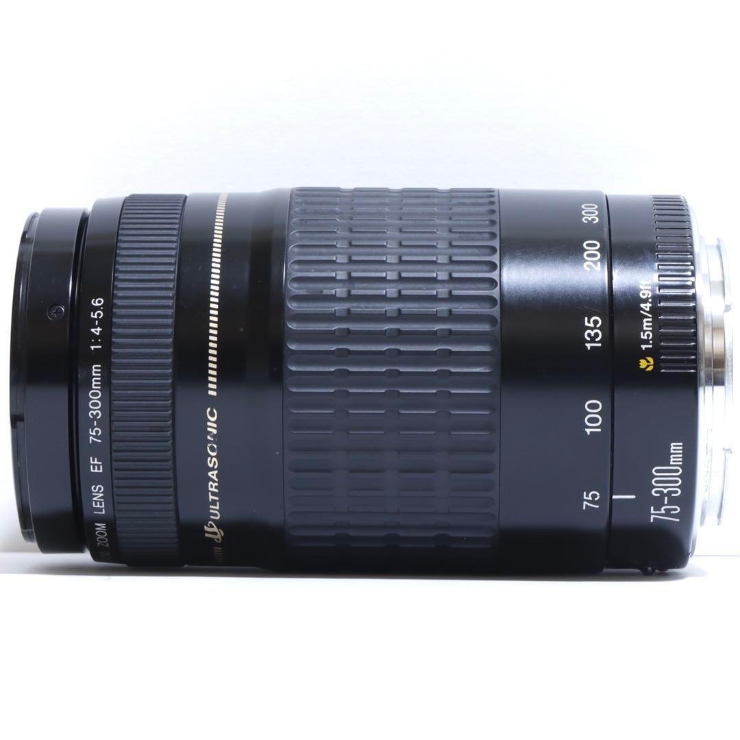 ◇超望遠&高速AF◇Canon純正 75-300mm I 超望遠レンズ!!◇