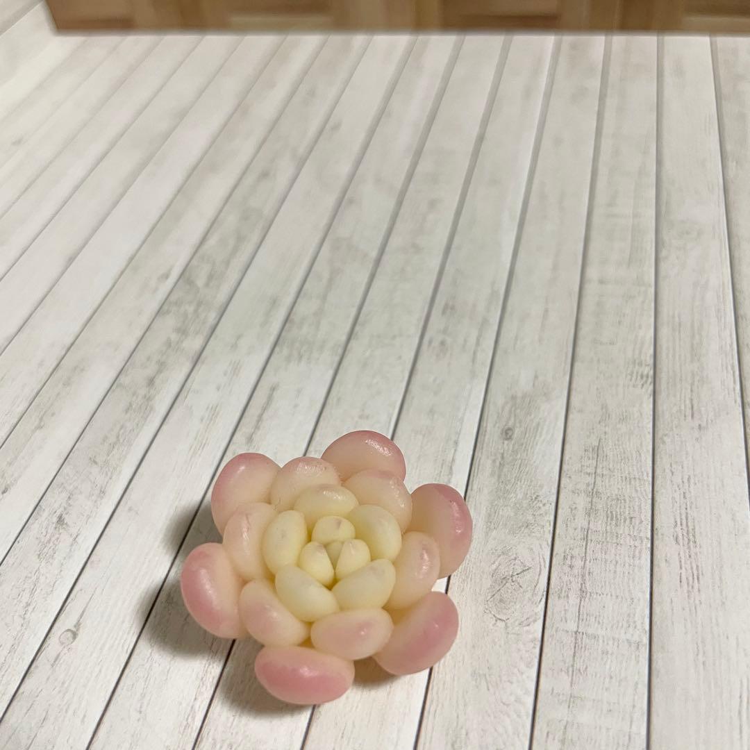 【mog】樹脂粘土のエケベリア