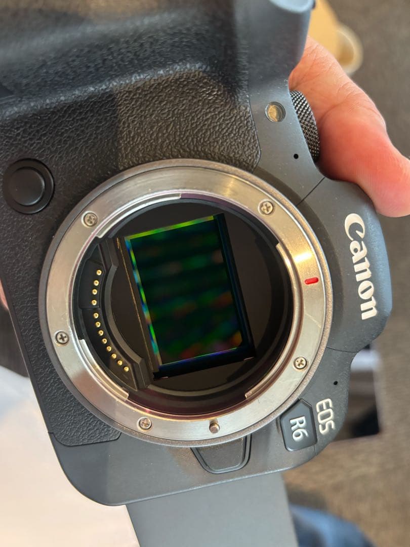 Canon EOS R6 ミラーレス一眼カメラ 本体　10年保証あり