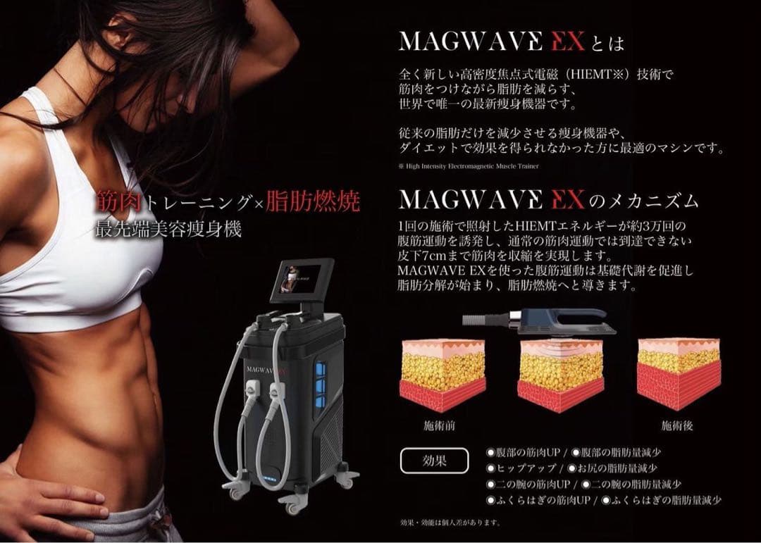 最新型　電磁パルスマシン　MAGWAVE