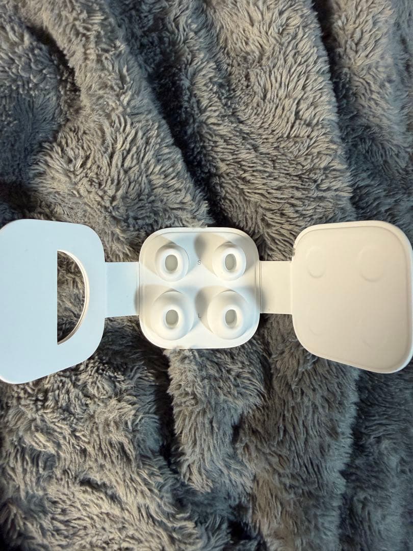 AirPods Pro 第一世代　本体 充電ケース付き本物正規品