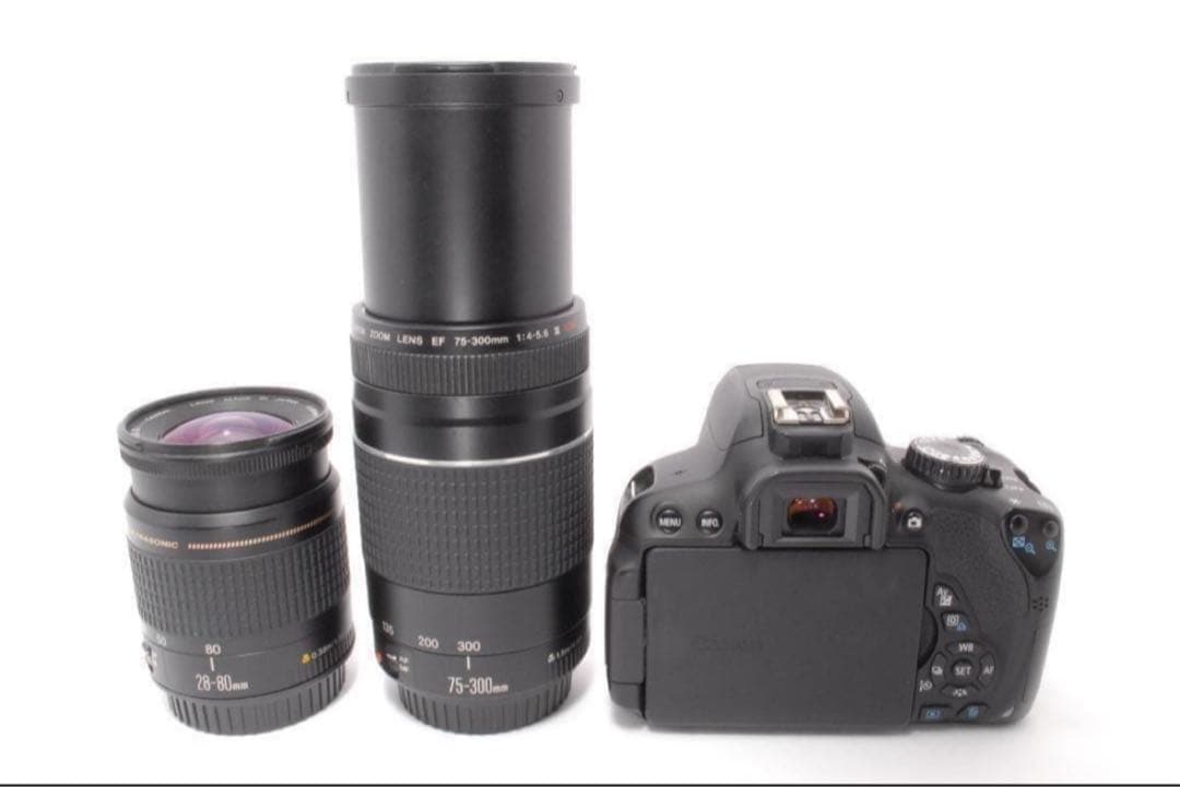 遠くもバッチリ　美品　ダブルレンズセット　Canon EOS kiss X6i