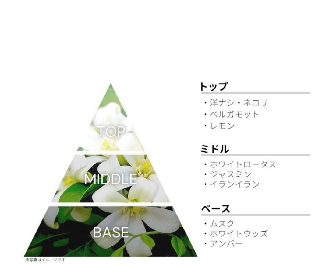 Laboratorio Olfattivo（ラボラトリオ）Nunヌン　100mL