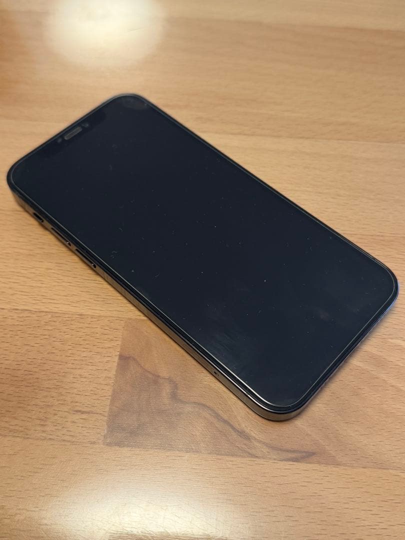 極美品 iPhone 12Pro パシフィックブルー 256GB