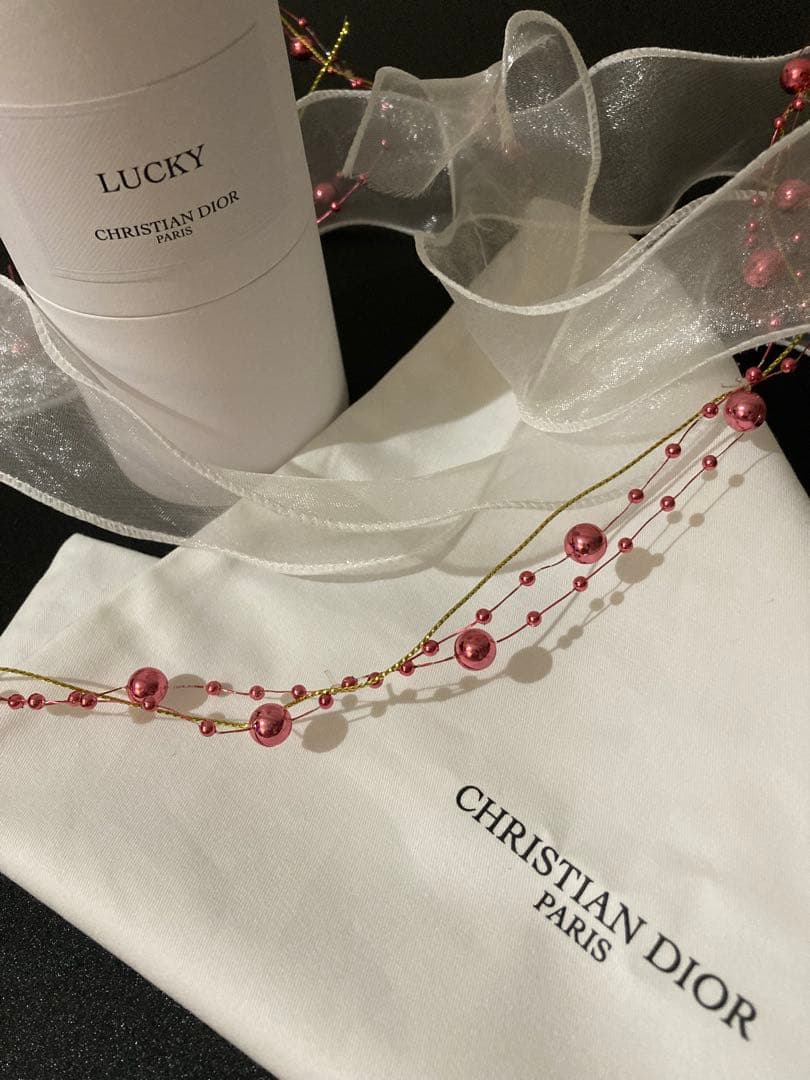 DIOR ラッキー