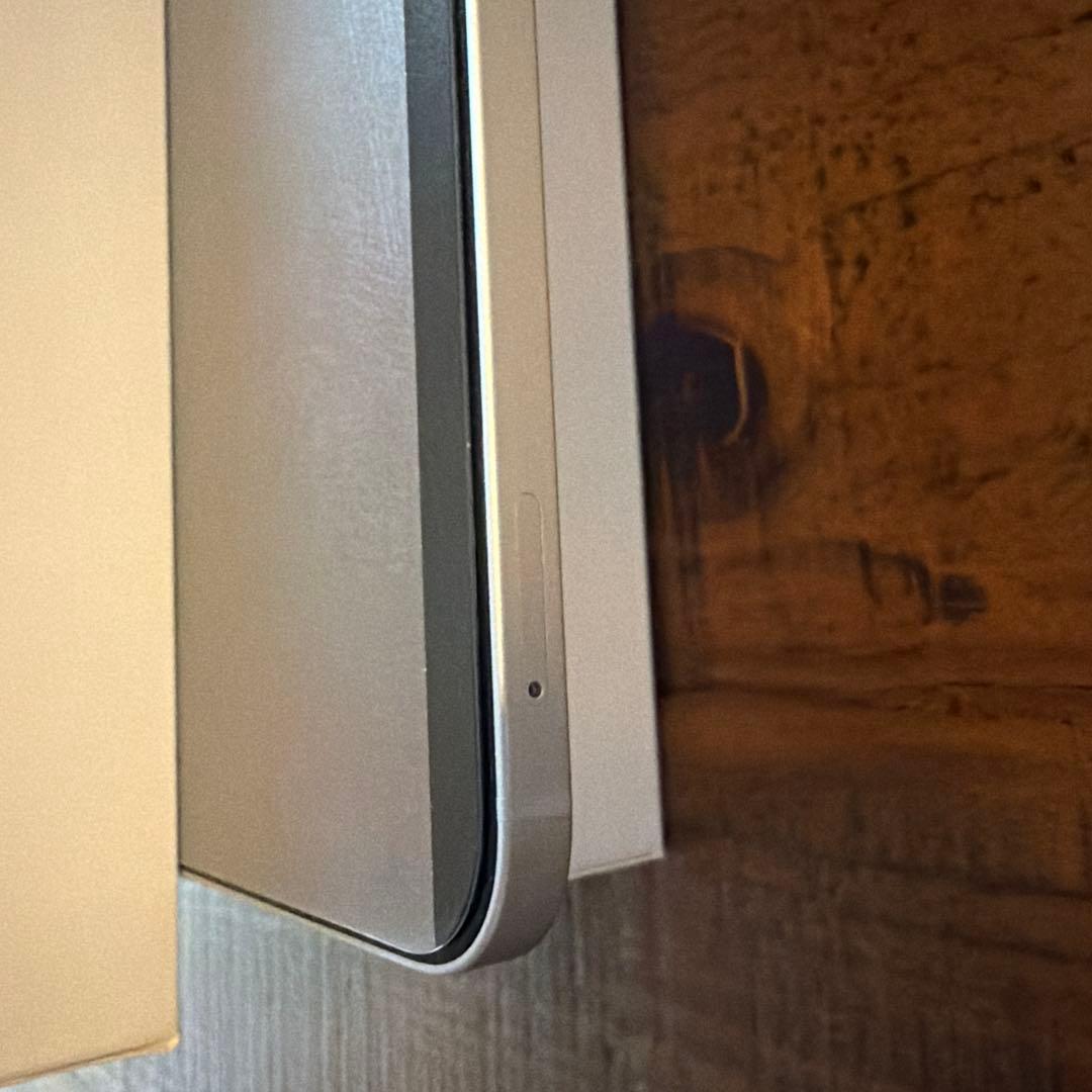 iPadPro12.9 256GB Wi-Fi+Cellularシルバー/付属品