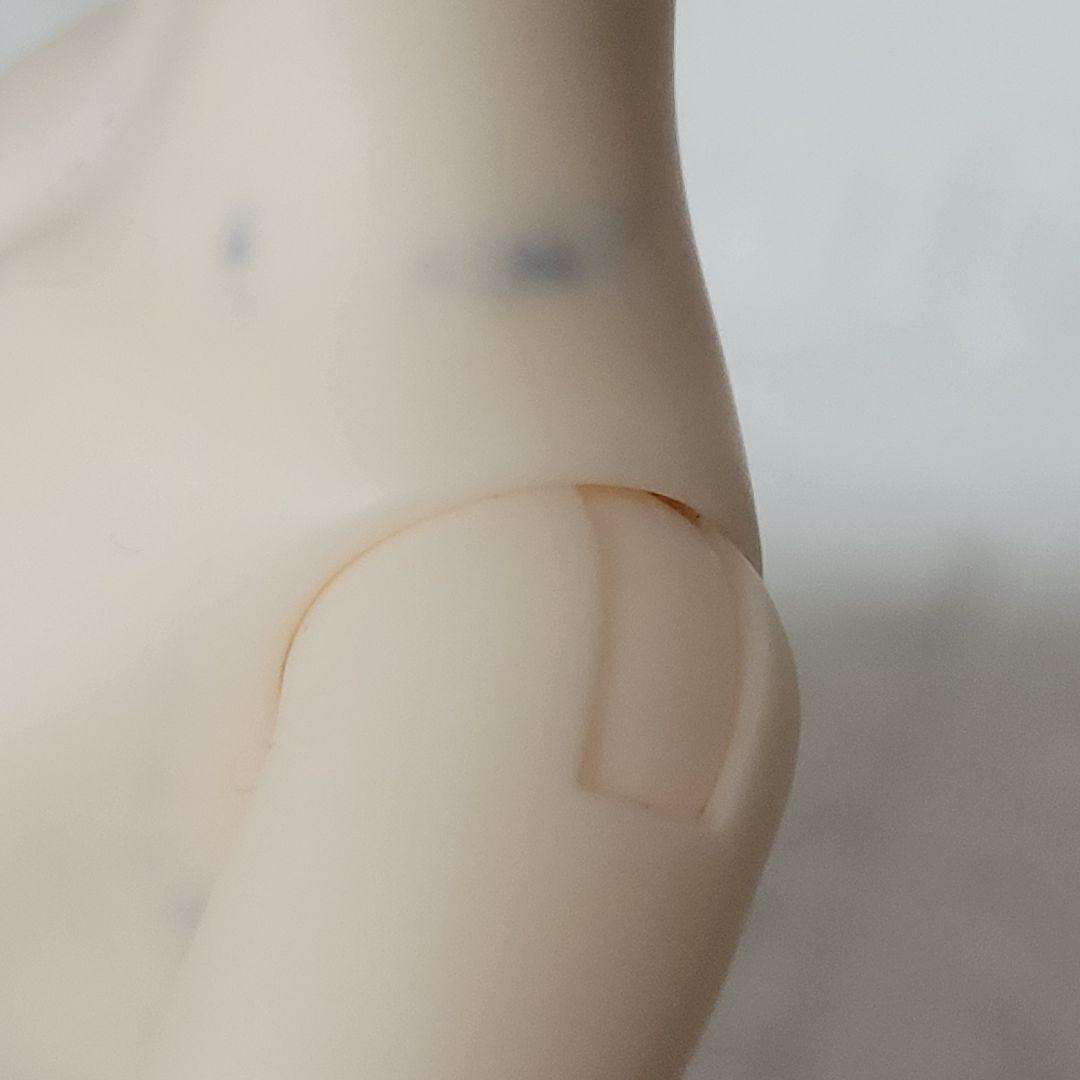 お値引き中■TinyFox リトルリズ 1/6サイズ