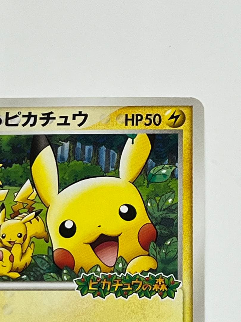 ポケパークのピカチュウ 043/PCG-P PROMO