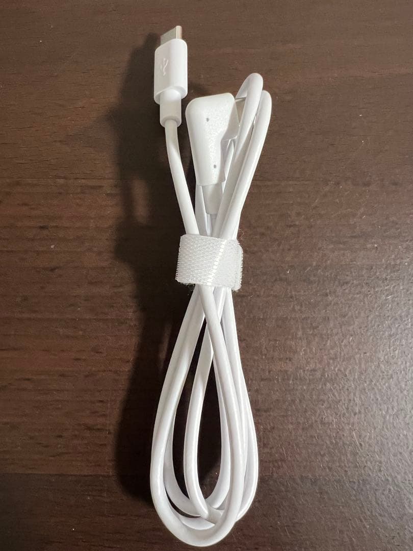SONY レオンポケットプロ
