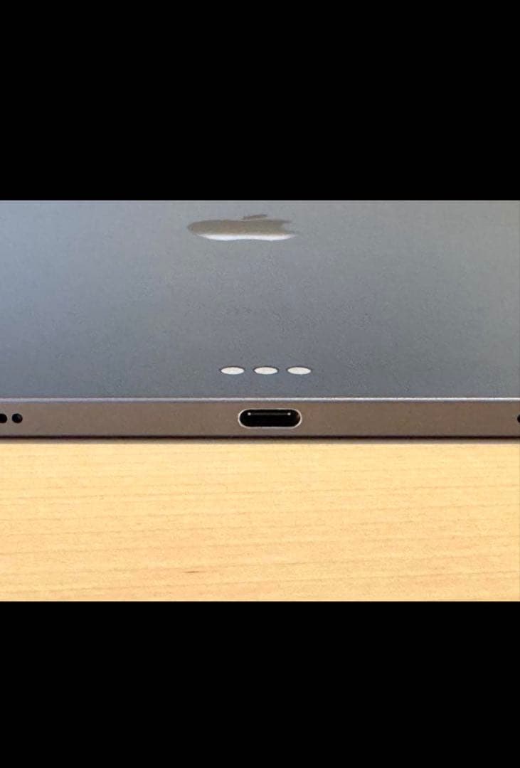 iPad Pro 11インチ (第1世代) 256GB
