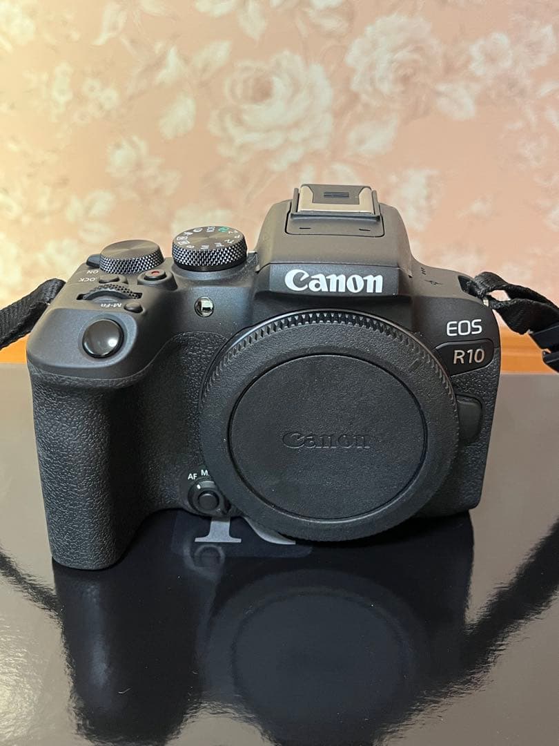 Canon EOS R10 RF-S 18-150mm STMキット
