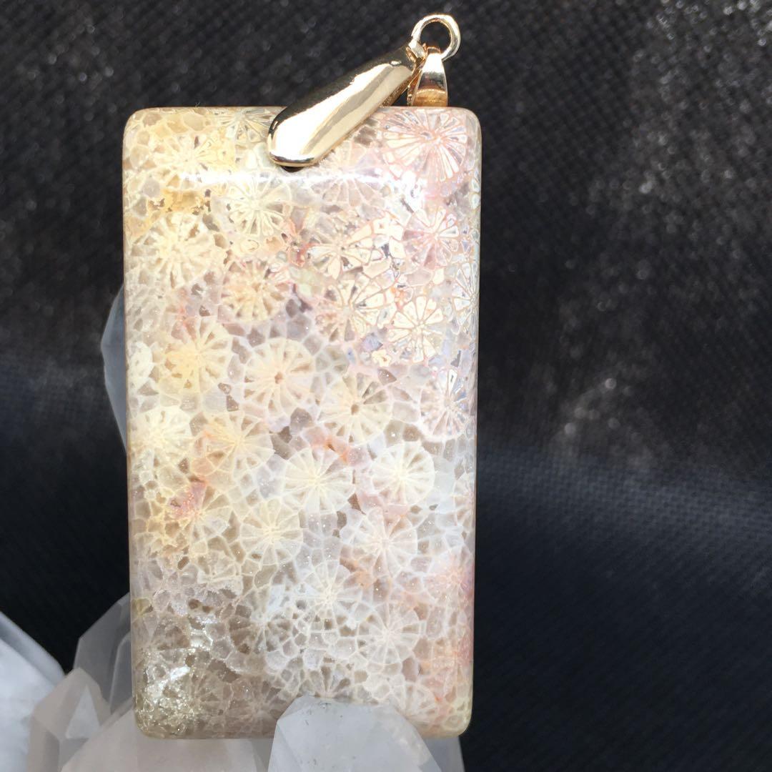 フォッシルコーラル✨綺麗な菊模様✨ペンダントトップ✨